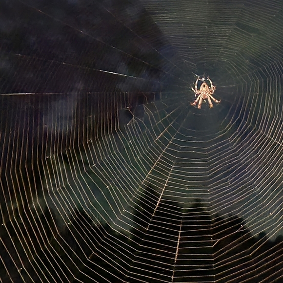 EXTRA Shipping Label - Picture 1 of 1